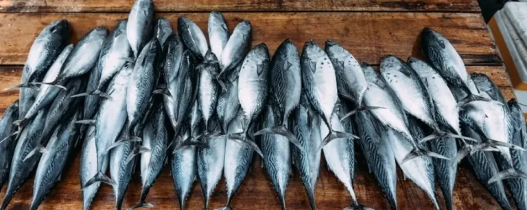 WTO Fisheries Subsidies Agreement